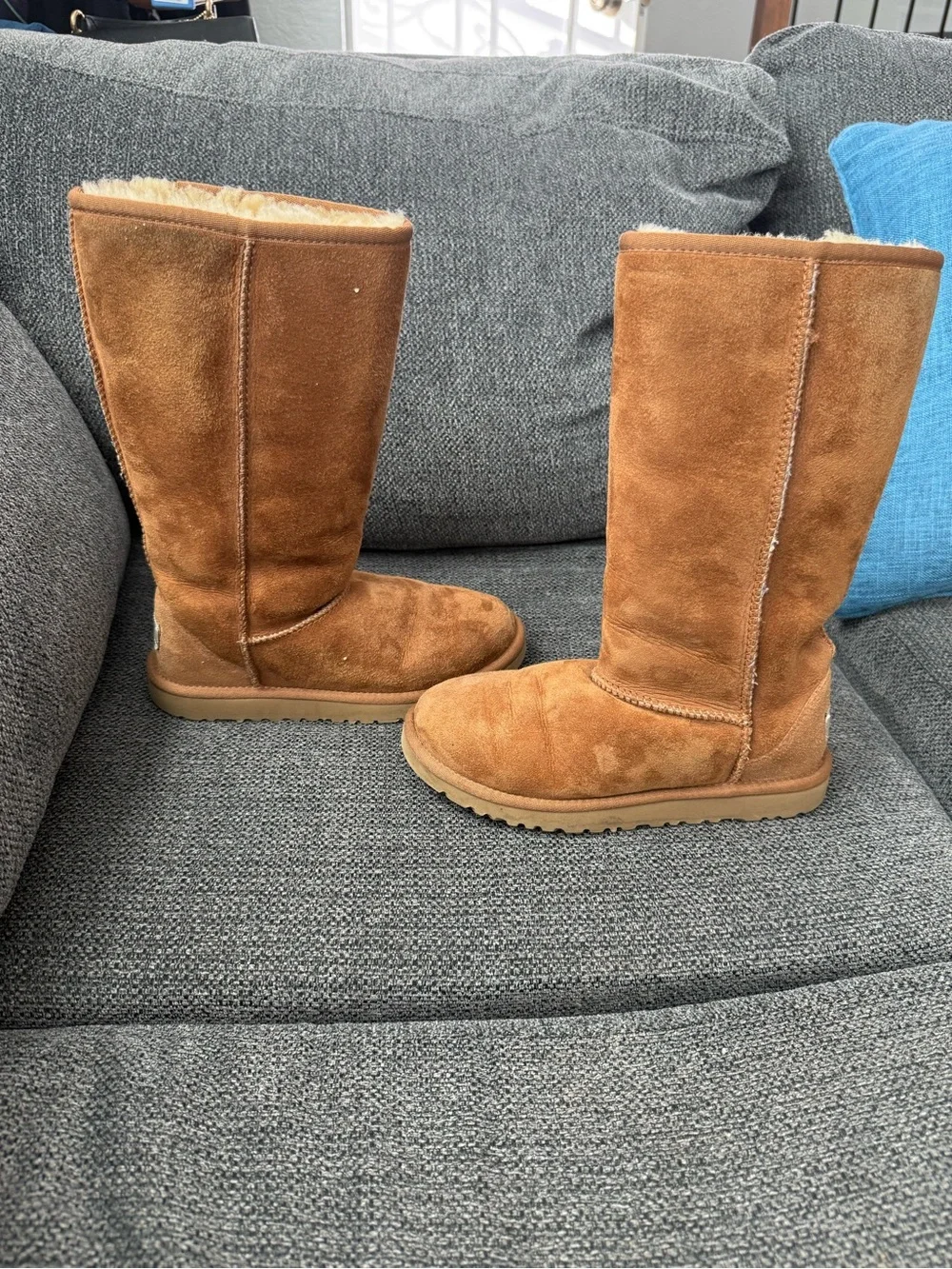 UGG tall chestnut